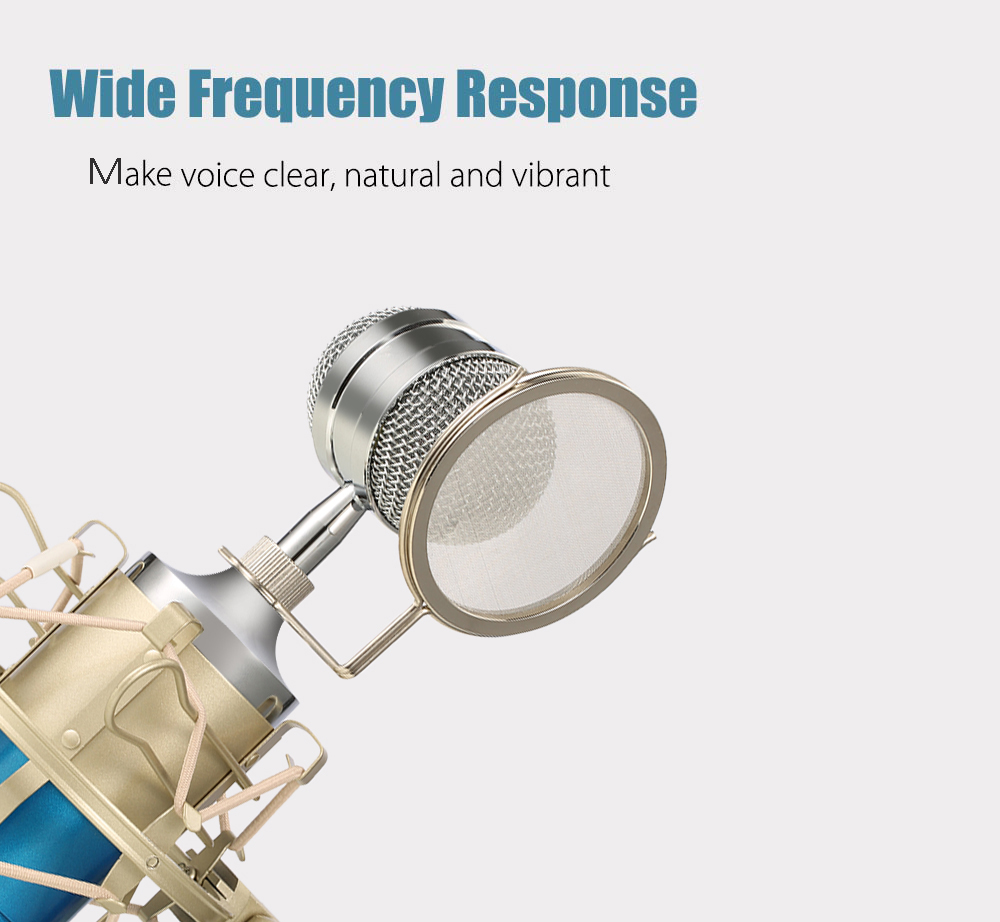 LEIHAO BM - 8000 Professional Sound Studio Recording Condenser Microphone with 3.5mm Plug Stand Holder